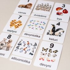 Trijų dalių „Montessori“ lavinamųjų kortelių rinkinys „Skaičiuokime gyvūnus“