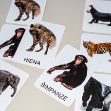 Trijų dalių „Montessori“ lavinamųjų kortelių rinkinys „Tolimųjų kraštų gyvūnai“ (1 dalis)