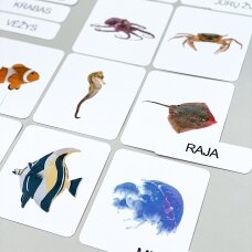 Trijų dalių „Montessori“ lavinamųjų kortelių rinkinys „Vandens gyvūnai“ (1 dalis)