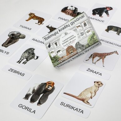 Trijų dalių „Montessori“ lavinamųjų kortelių rinkinys „Tolimųjų kraštų gyvūnai“ (3 dalis) 9