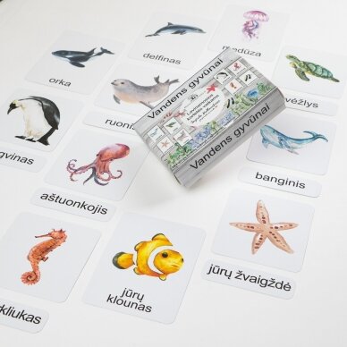 Trijų dalių „Montessori“ lavinamųjų kortelių rinkinys „Vandens gyvūnai“ (3 dalis) 9